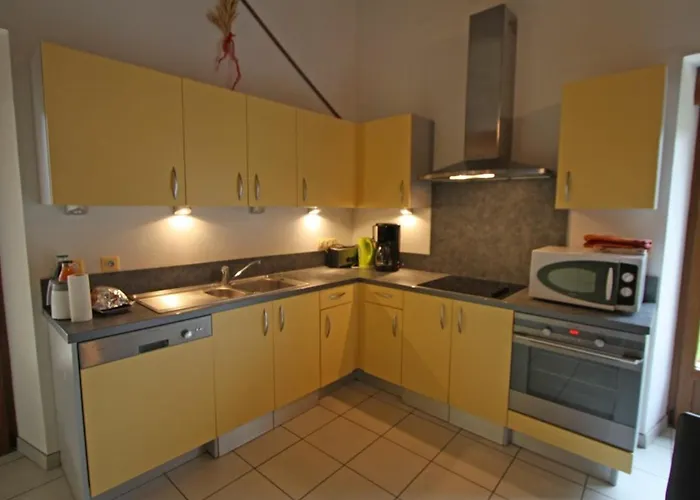 Prázdninový dům Spacieux Avec Terrasse, Confort Moderne Dans Un Cadre Verdoyant Et Propice Aux Balades. - Fr-1-589-79 Bains-les-Bains