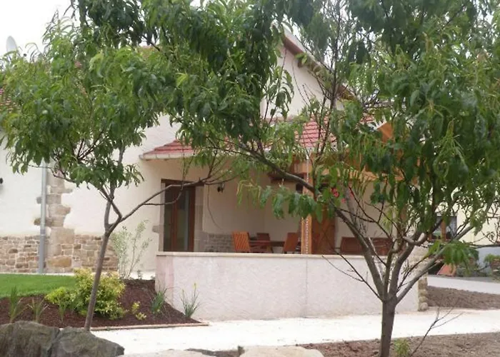 Spacieux Avec Terrasse, Confort Moderne Dans Un Cadre Verdoyant Et Propice Aux Balades. - Fr-1-589-79 Bains-les-Bains