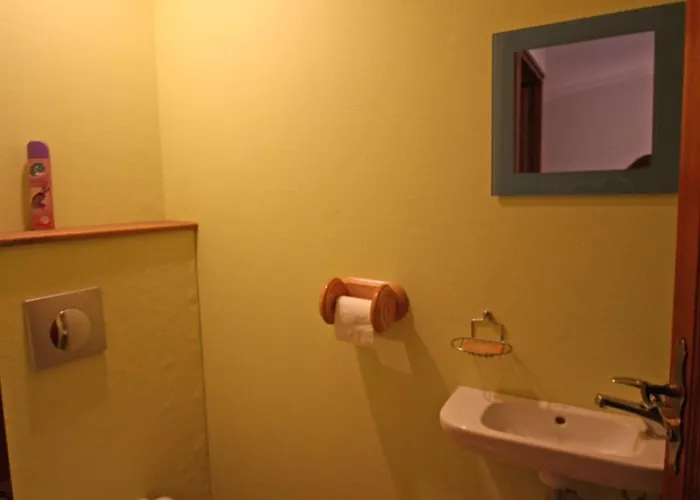 Prázdninový dům Spacieux Avec Terrasse, Confort Moderne Dans Un Cadre Verdoyant Et Propice Aux Balades. - Fr-1-589-79 Bains-les-Bains